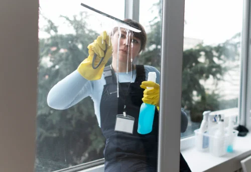 Nettoyage de vitres intérieures et extérieures à Girolles